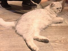 -小时光咖啡馆(开森度假森林店)