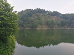 -王借岗森林公园