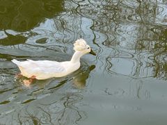 -南山风景名胜区