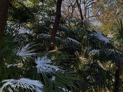 -北极阁公园