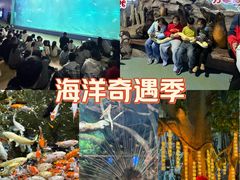 -福州罗源湾海洋世界旅游区