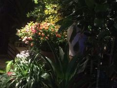 -春暖花开(西溪店)