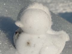 -太子岭滑雪场