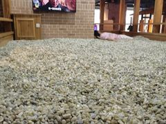 -沐泷泉(南风大剧院店)