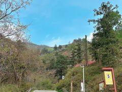 -木兰云雾山