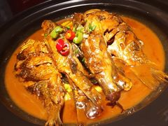 野生黄鳝鱼-丽华园(汉阳龙阳店)