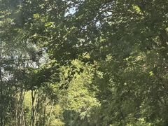 -秦岭终南山世界地质公园翠华山景区