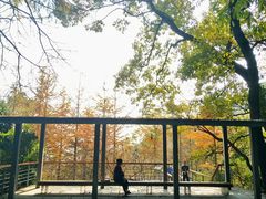 -西湖风景区-江洋畈生态公园