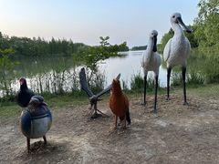 -苏州太湖国家湿地公园
