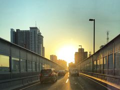 -光明清汤羊(宝业路店)