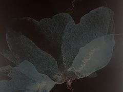 -尊江月推拿足道(周浦店)