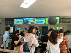 -圣淘沙天际线斜坡滑车