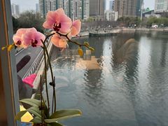 -珈境湖畔餐厅·湖北菜·江浙菜•樱花季(西北湖店)