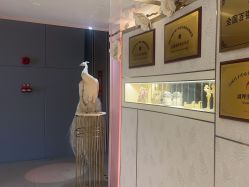 点击看大图 -英芬国际月子中心(岛屿度假月子·洲至奢选香岚店)