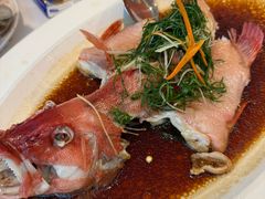 -79号渔船海鲜饭店(岗厦店)
