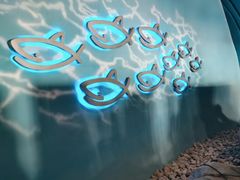 -烟台海昌鲸鲨海洋公园