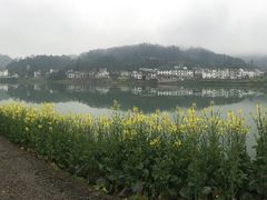 -新安江山水画廊风景区