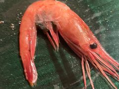 -和彩放题(渔阳店)