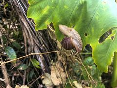 -七仙岭君澜度假酒店
