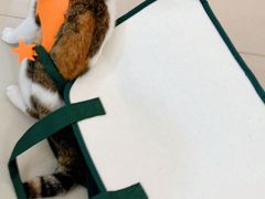 -星巴克臻选(莘庄仲盛店)