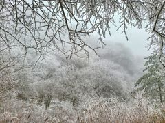 -终南山国家森林公园
