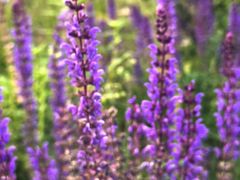 -敕勒川草原文化旅游区