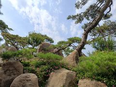 -罗红摄影艺术馆