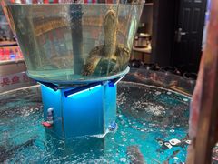 -魏铭鱼头捞饭(晋阳路店)