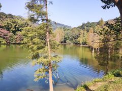 -广州市白云山风景名胜区
