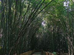 -三水森林公园孔圣园