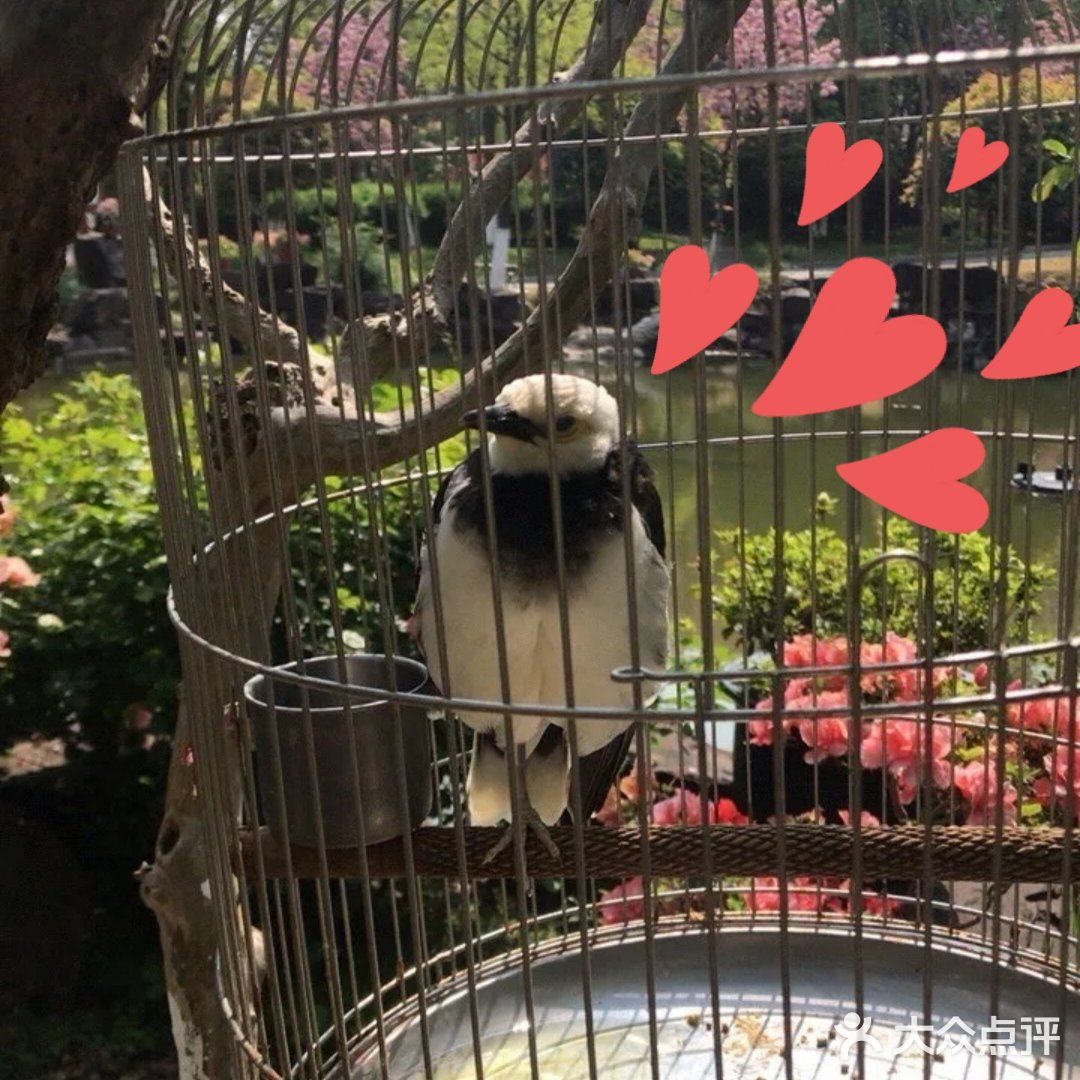 这是一家可以带孩子去参观的室内动物园