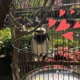 这是一家可以带孩子去参观的室内动物园