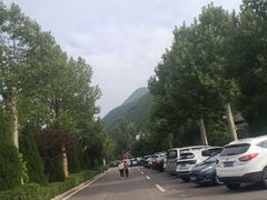 -凤凰欢乐谷
