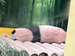 -杭州野生动物世界