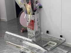 -爱洗澡的猫(望京店)