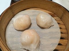 虾饺-觅唐MITONG(鸟巢店)