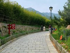 景点-竹子庵公园