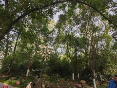 -成都市活水公园