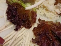 -南门四季铜锅涮肉(大屯·北苑店)