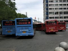 附近公交车站-月星国际家居广场(南滨河中路店)