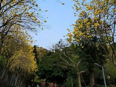 -狐尾山公园