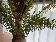 -泰合玺·精油疗愈SPA(狮山天街生活广场店)