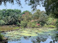 -海南热带野生动植物园
