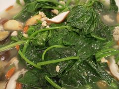 上汤蕃薯叶-汇兴源餐馆(小北路店)