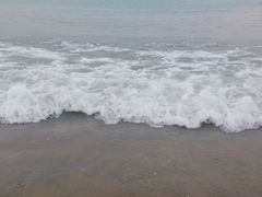 -桃花岛风景旅游区