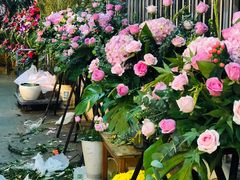 -双季花艺园艺市场(浦东店)