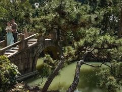 -上海醉白池公园