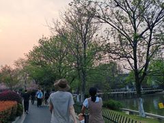 -苏州上方山国家森林公园