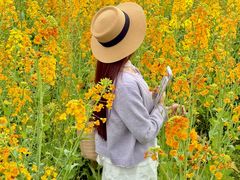 -中国天府农业博览园