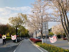 -几荷·恰似故人来(秀水广场店)